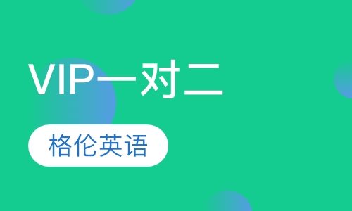 VIP一对二