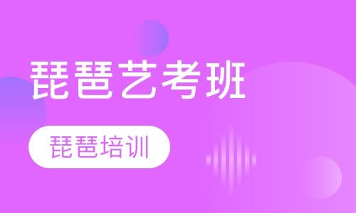 琵琶艺考班
