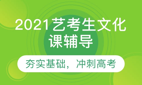 2021艺考生文化课畅学计划课程