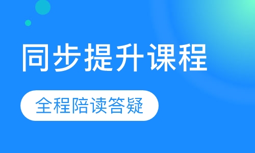 1对1同步提升课程