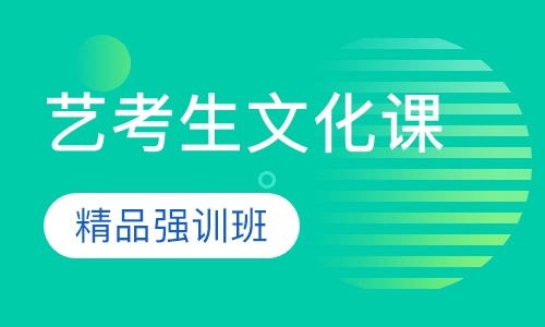 艺考生文化课精品强训班