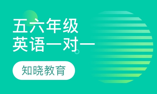 小学五六年级英语一对一辅导课程