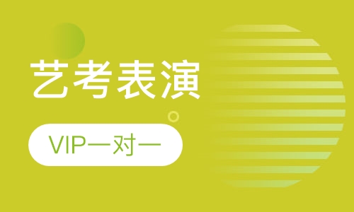 艺考表演VIP一对一