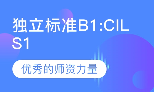 独立标准 B1:CILS 1