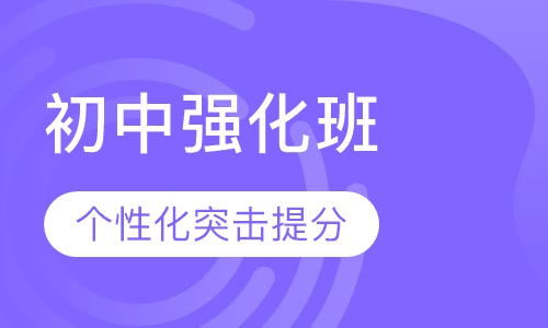 初中强化班