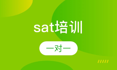 SAT一对一