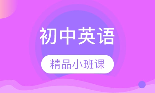 初中英语精品小班课
