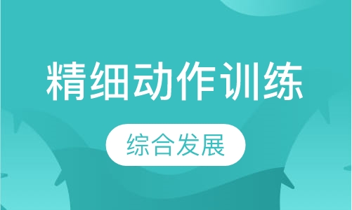 精细动作课
