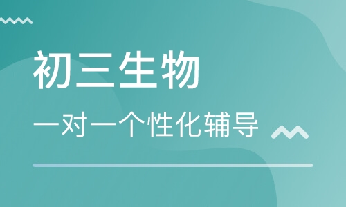 初三生物一对一辅导