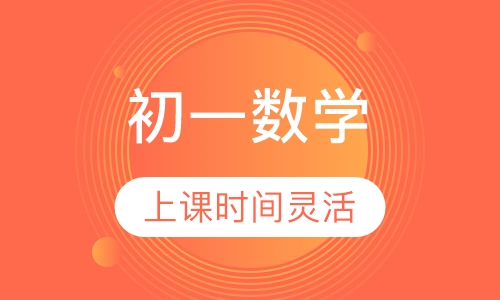 初一数学辅导