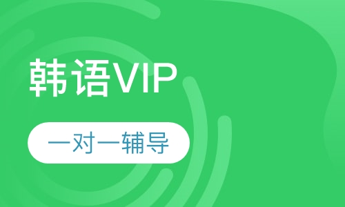 韩语VIP培训