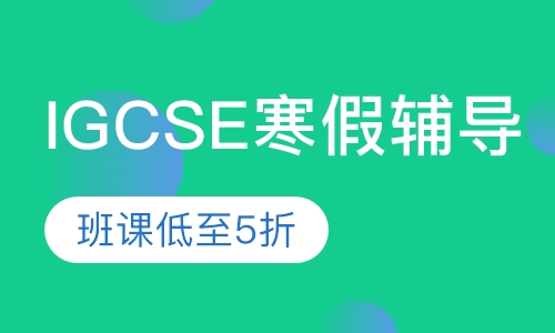 渊学通IGCSE寒假辅导班