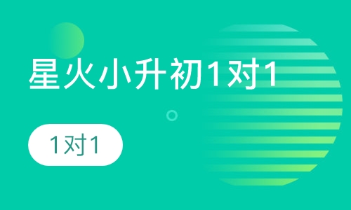 星火小升初1对1