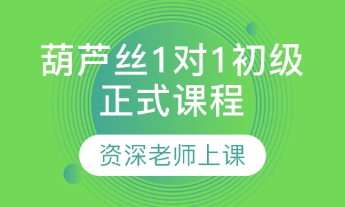 葫芦丝1对1初级正式课程
