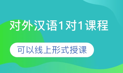 对外汉语1对1课程