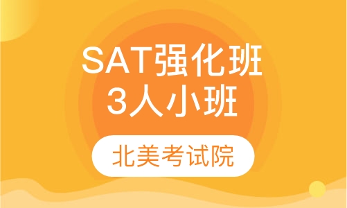 SAT 强化班(尊贵3人小班)