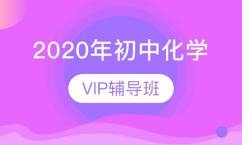 2020年初中化学VIP辅导班