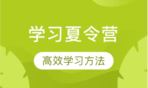 齐心全脑学习法夏令营