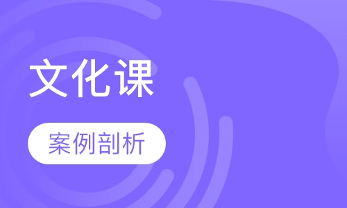文化课辅导VIP一对一