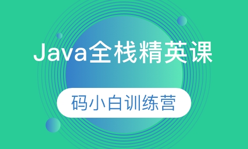 Java全栈精英课 大数据 微服务