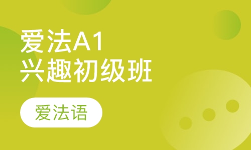 爱法A1兴趣初级班