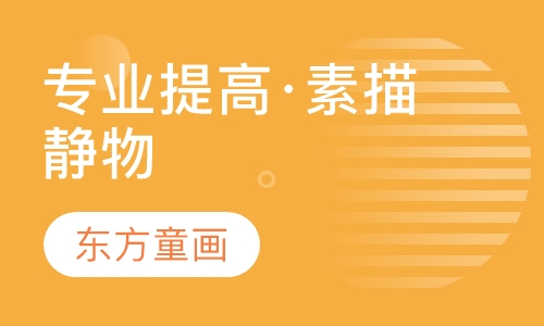 专业提高·素描静物