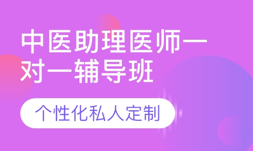 直播课中医助理医师一对一辅导班