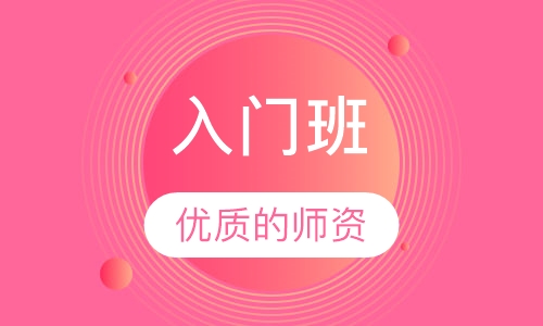 入门班