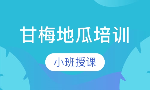 甘梅地瓜培训