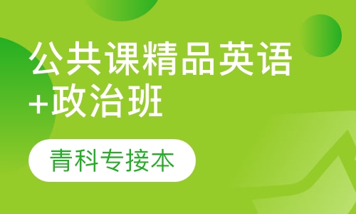 公共课精品英语+政治班