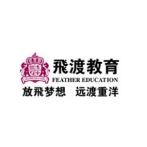 武汉飞渡教育