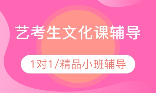 艺考文化课辅导