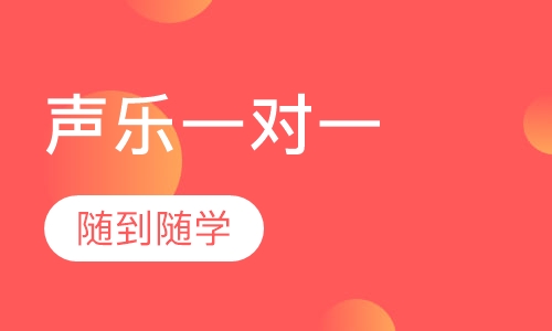 声乐一对一
