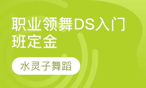 职业领舞DS入门班定金
