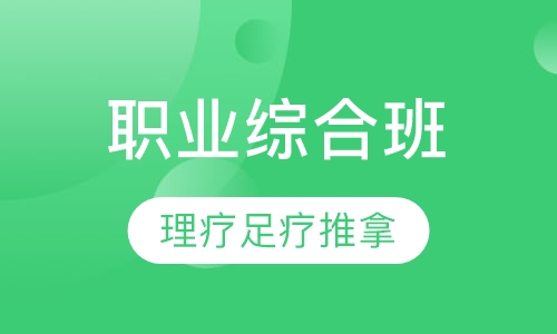 职业综合班
