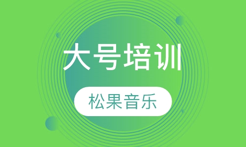 大号培训