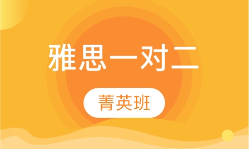 雅思一对二菁英班