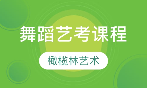舞蹈艺考课程