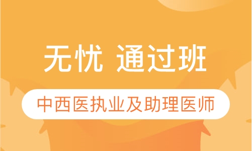 中西医执业及助理医师无忧 通过班