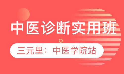 中医诊断班