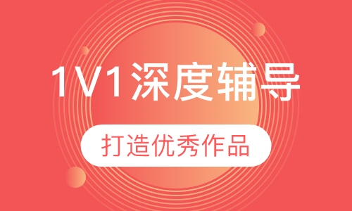 1V1深度辅导