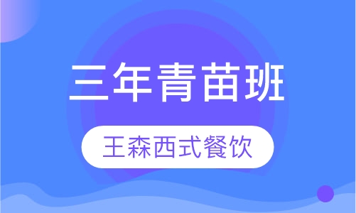 三年青苗班