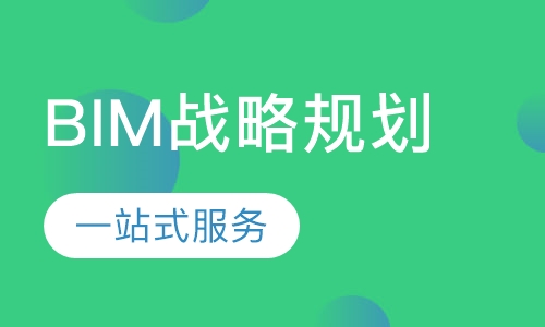 BIM战略规划