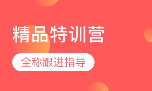 篮球精品特训营