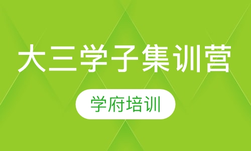 大三学子集训营