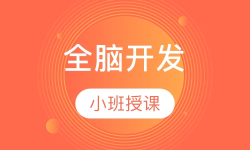 全脑开发