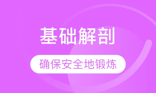 基础解剖