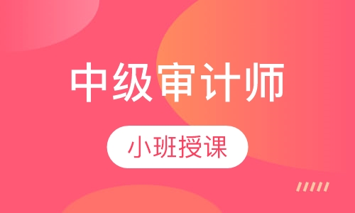 中级审计师