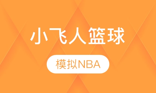 小飞人篮球“模拟NBA”主题夏令营