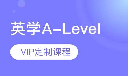 英学A-Level VIP定制课程
